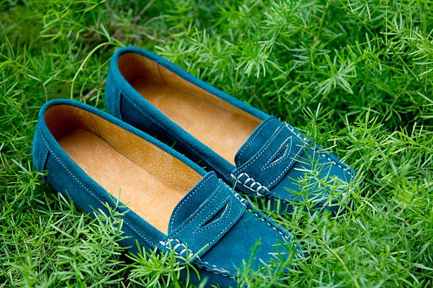 Loafer Shoes