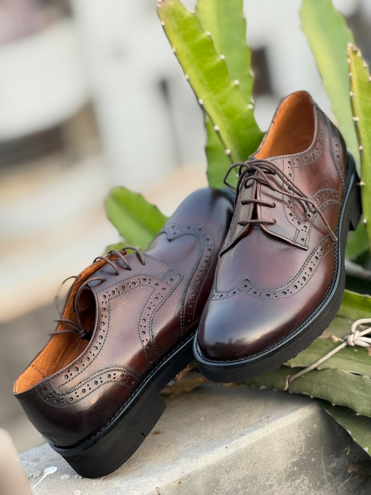 Casual Shoes (Chocolate Color)